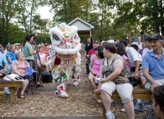 Lion Dance